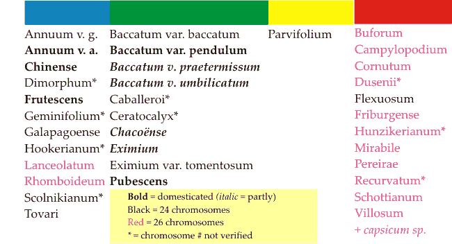 levinnaisyys_teksti